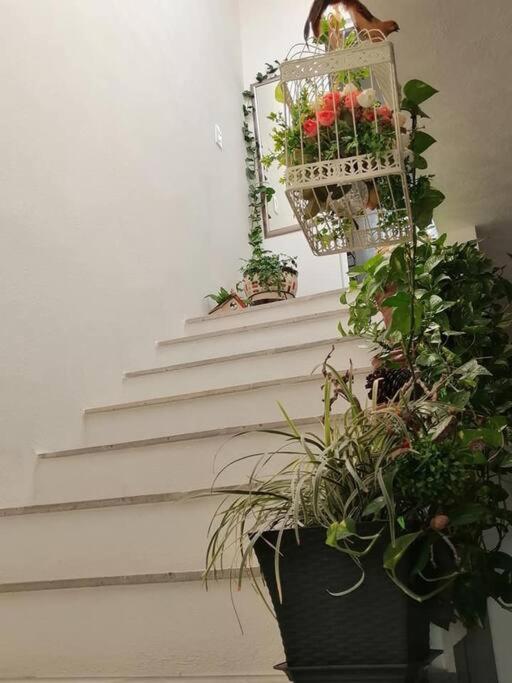 Casa Adhita, Tu Confort Es Nuestra Prioridad. Yautepec Exteriér fotografie